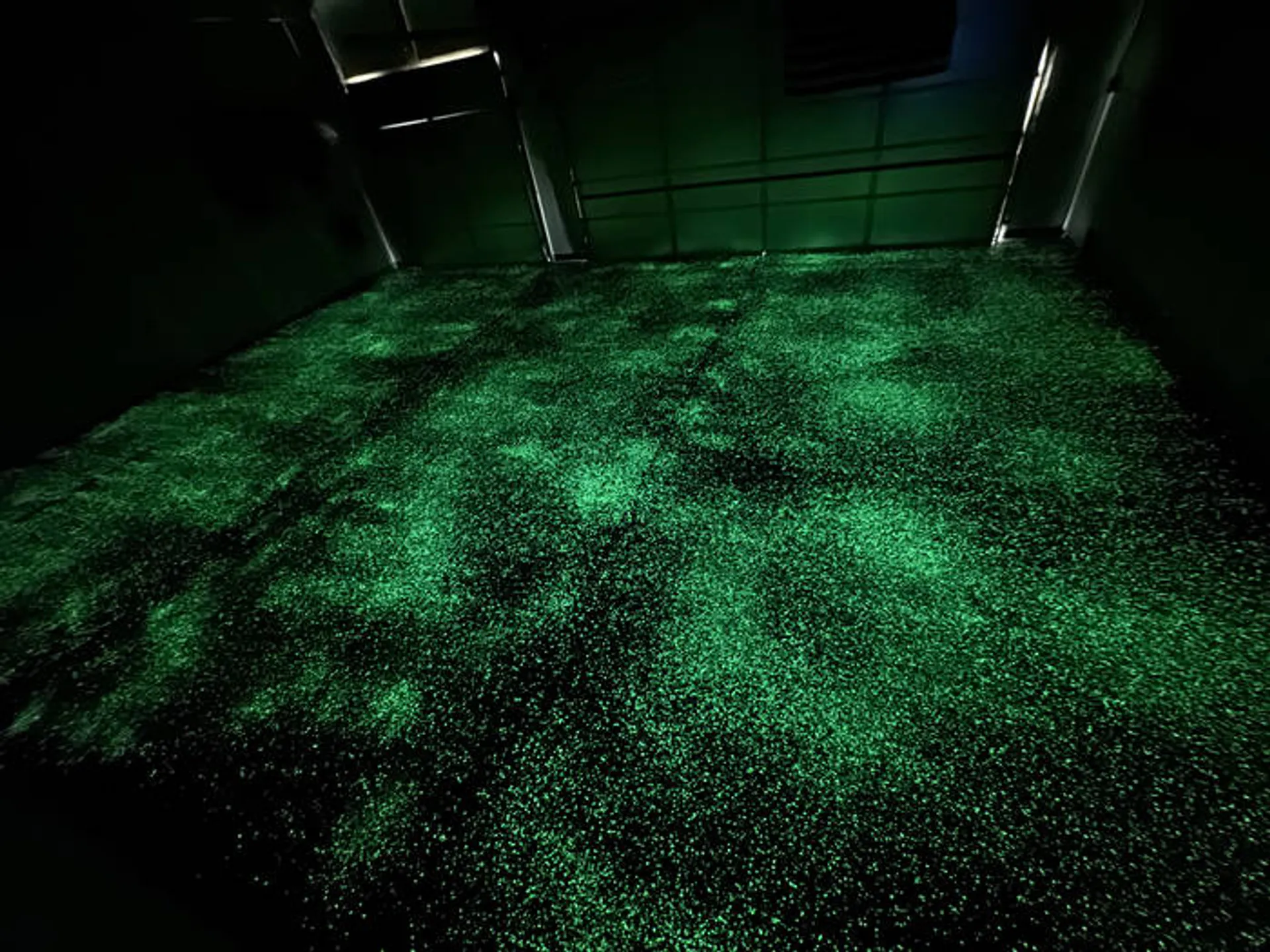 Glow in the dark epoxy floor coating with phosphorescent chips in Metro Detroit garage